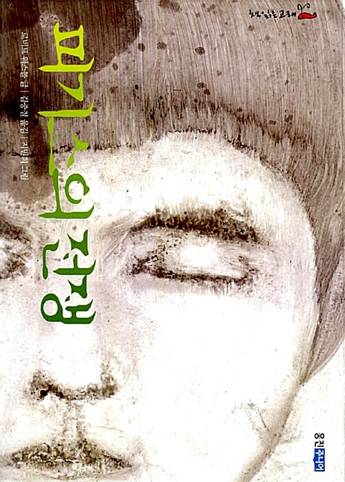 피기스의 전쟁  표지