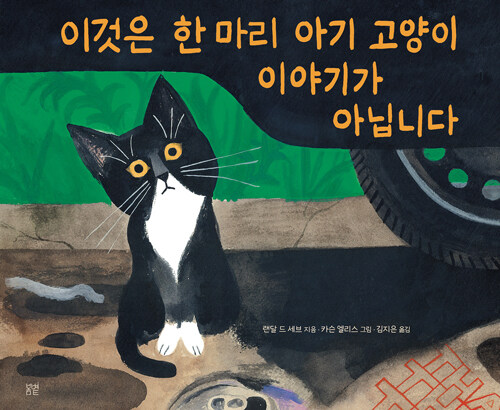 이것은 한 마리 아기 고양이 이야기가 아닙니다 표지