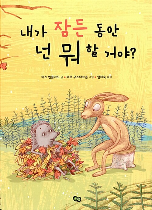 내가 잠든 동안에 넌 뭐 할 거니? 표지