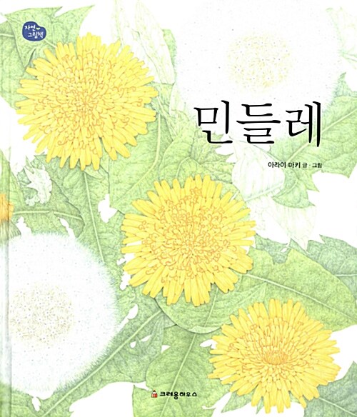 민들레 표지