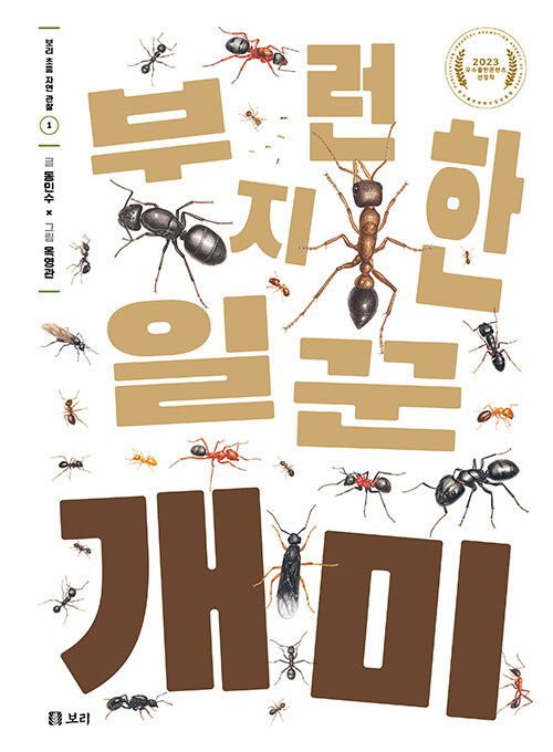 개미 표지