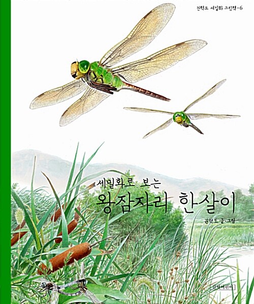 세밀화로 보는 왕잠자리 한살이 표지