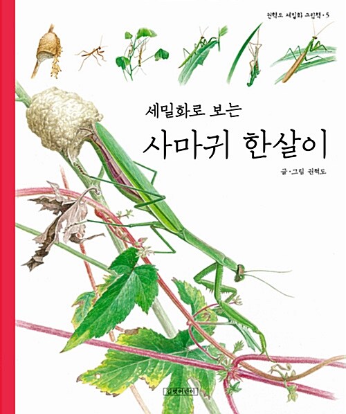 (세밀화로 보는) 사마귀 한살이  표지