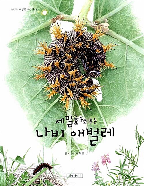 (세밀화로 보는) 나비 애벌레  표지