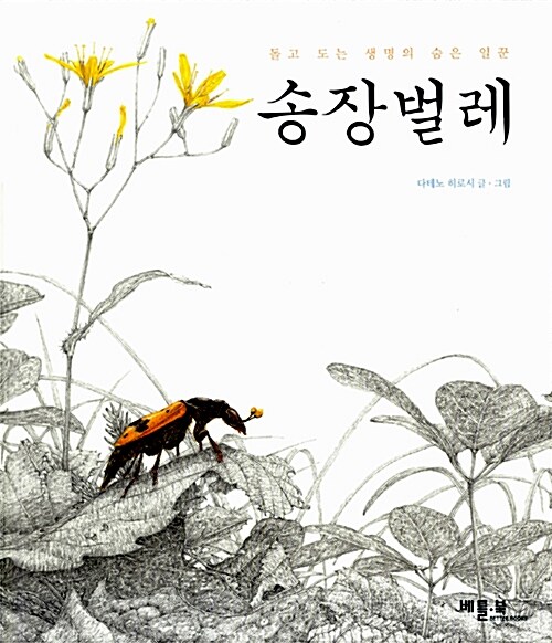 송장벌레 표지