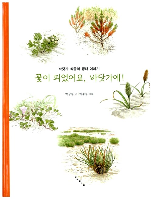 꽃이 피었어요, 바닷가에!  표지