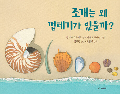 조개는 왜 껍데기가 있을까? 표지