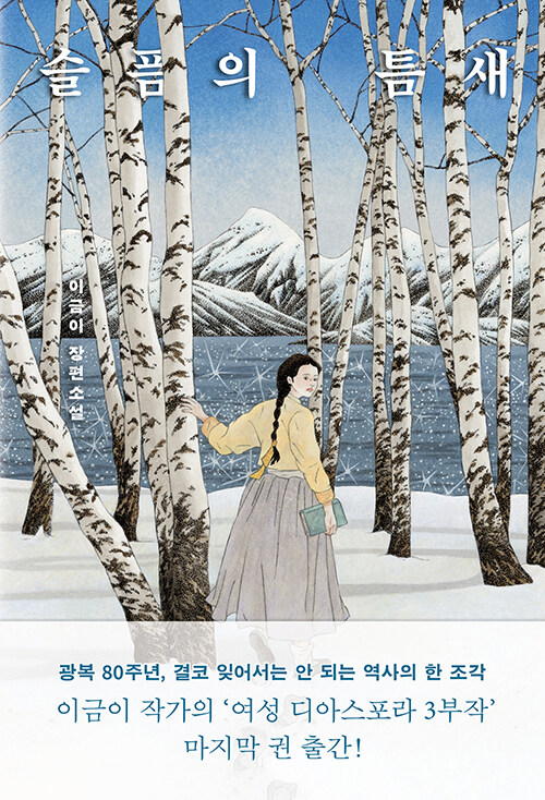 슬픔의 틈새 표지