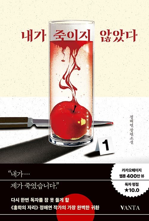 내가 죽이지 않았다 표지