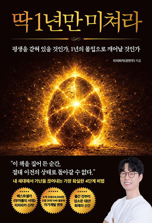 딱 1년만 미쳐라 표지