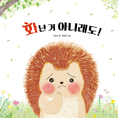 화난 거 아니래도! 표지
