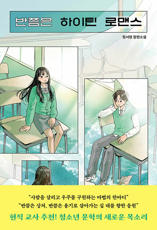 반쯤은 하이틴 로맨스 표지