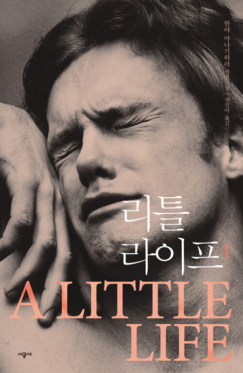 리틀 라이프 표지