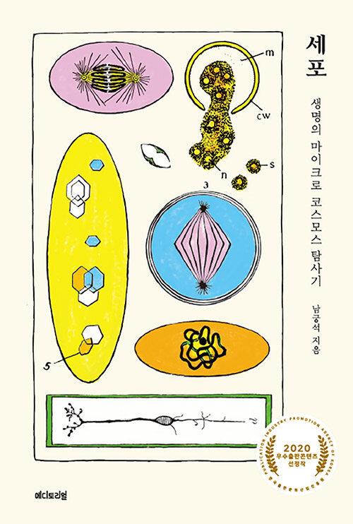 세포 표지