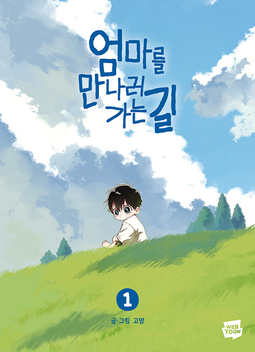 엄마를 만나러 가는 길 표지