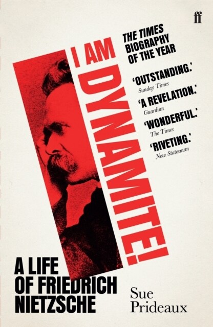 I Am Dynamite! : A Life of Friedrich Nietzsche (Paperback, Main) 표지