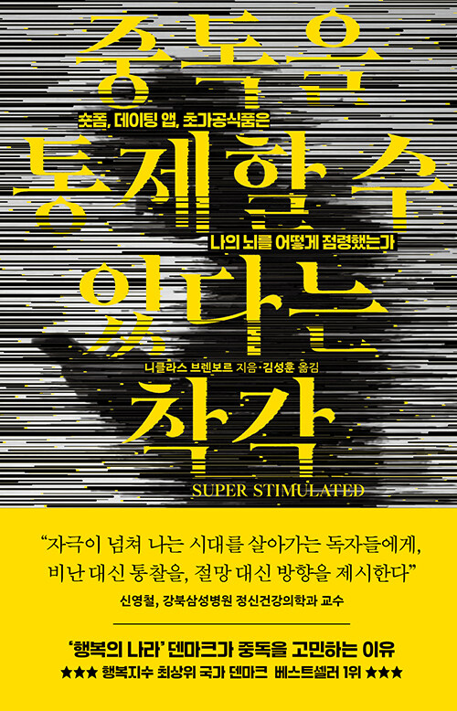 중독을 통제할 수 있다는 착각 표지