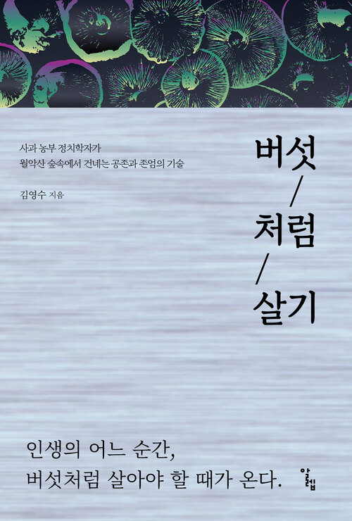 버섯처럼 살기 표지