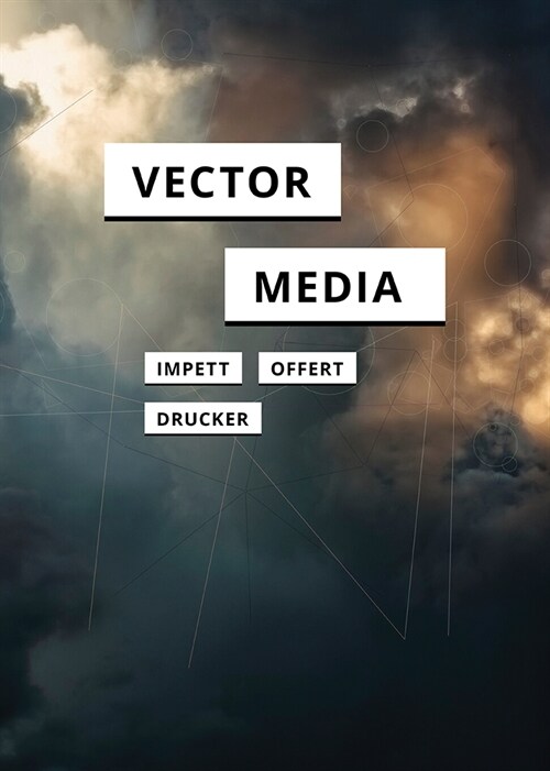 Vector Media (Paperback) 표지