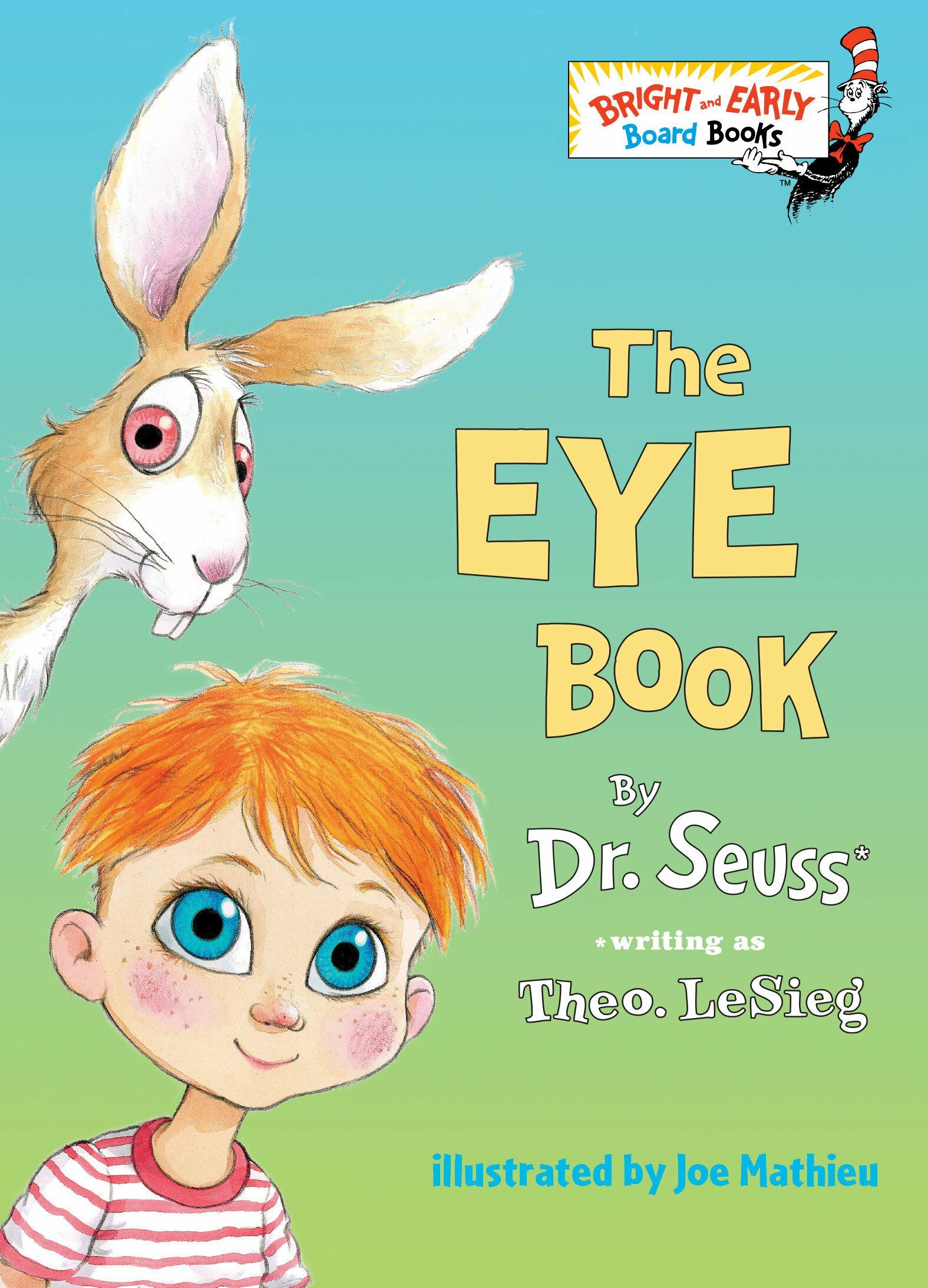 The Eye Book (Board Books) 표지