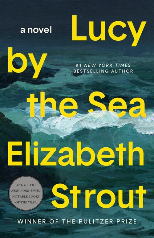 Lucy by the Sea (Paperback) - 『바닷가의 루시』원서 표지