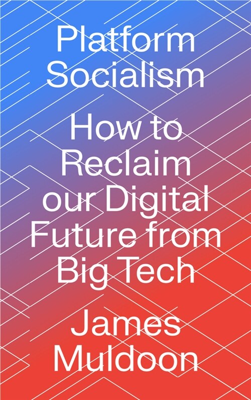 Platform Socialism : How to Reclaim our Digital Future from Big Tech (Paperback) 표지