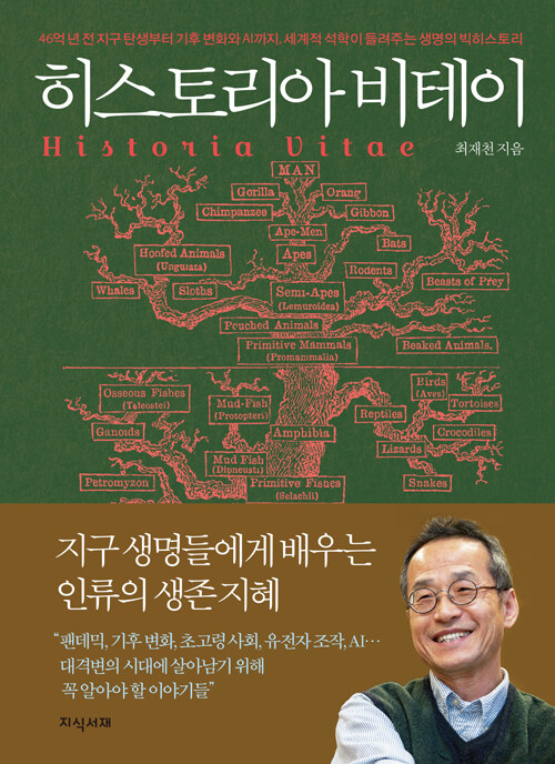 히스토리아 비테이 표지