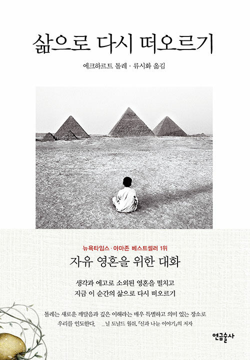 삶으로 다시 떠오르기 표지