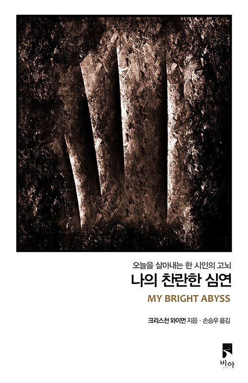 나의 찬란한 심연 표지