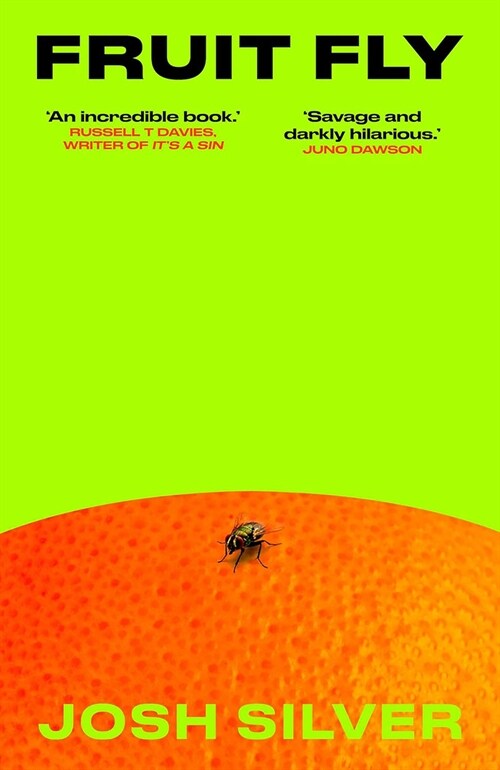 Fruit Fly (Paperback) 표지