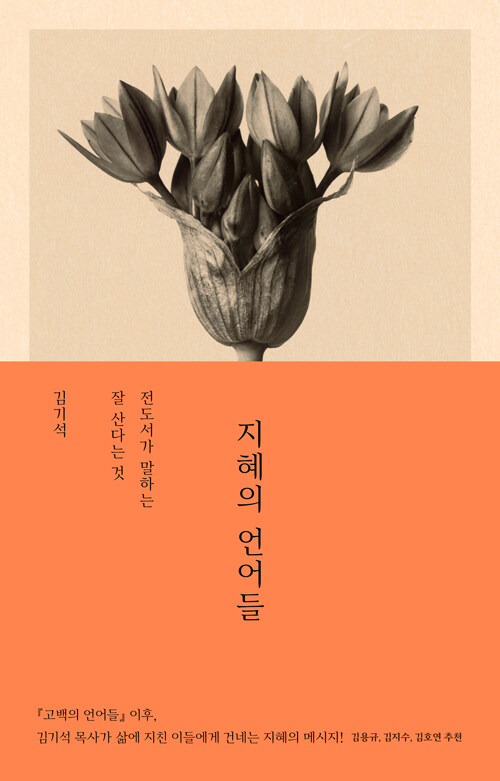 지혜의 언어들 표지