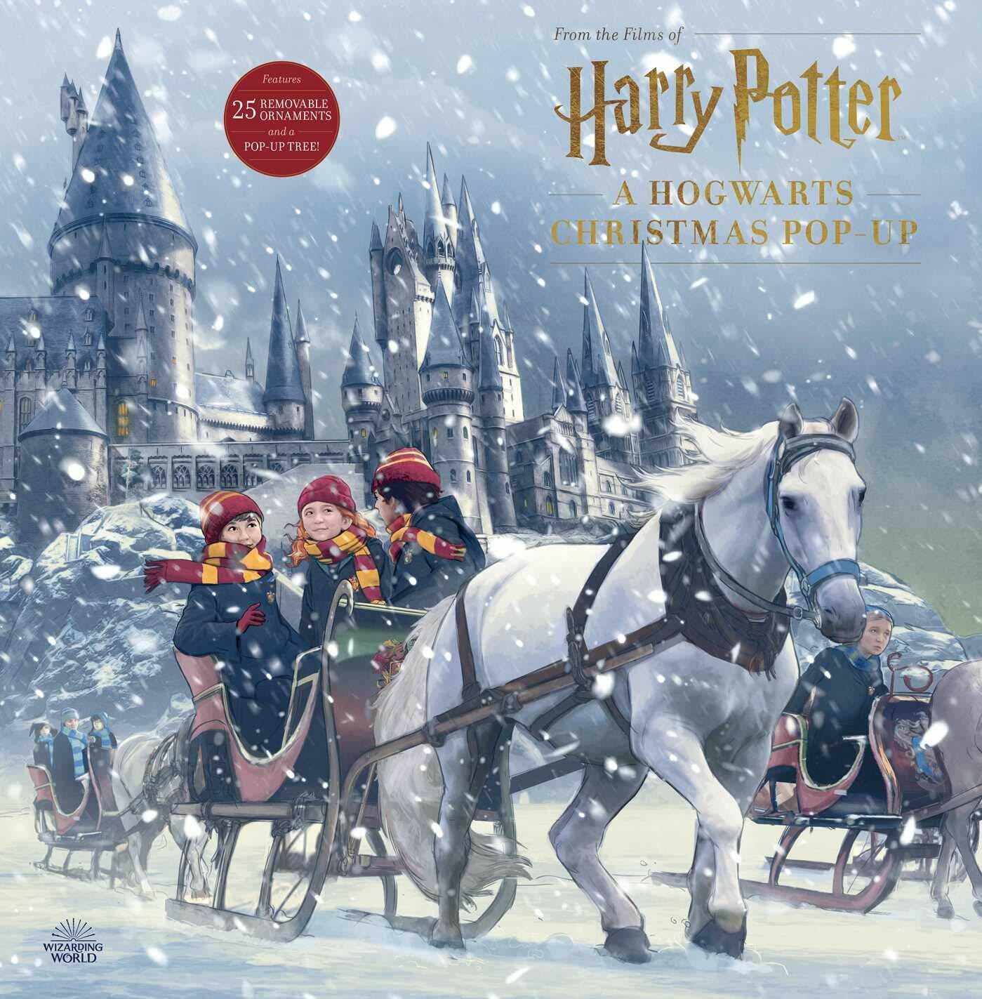 Harry Potter: A Hogwarts Christmas Pop-Up (Hardcover) 표지