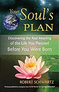 Your Soul's Plan: Discovering the Real Meaning of the Life You Planned Before You Were Born (Paperback) 표지