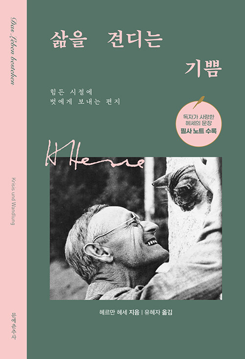 삶을 견디는 기쁨 표지