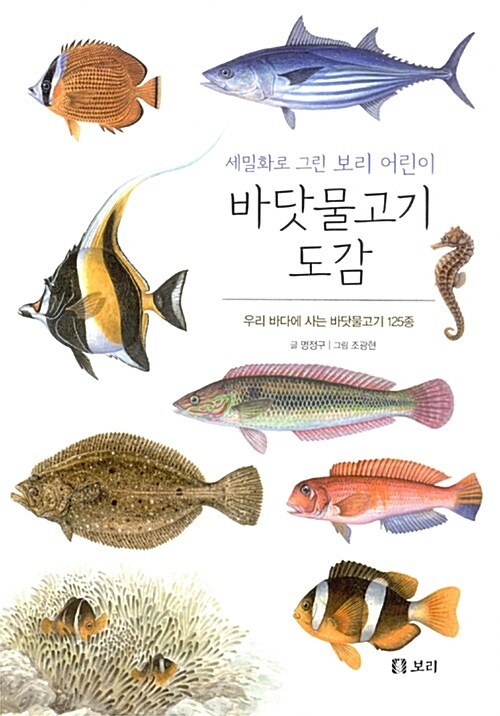 세밀화로 그린 보리 어린이 바닷물고기 도감 표지