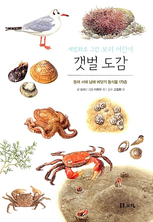 세밀화로 그린 보리 어린이 갯벌 도감 표지