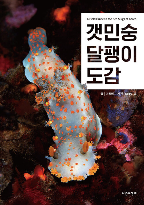 갯민숭달팽이 도감 표지