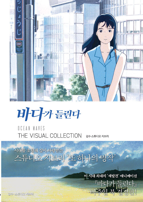 바다가 들린다 THE VISUAL COLLECTION 표지