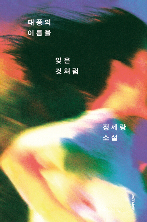 태풍의 이름을 잊은 것처럼 표지