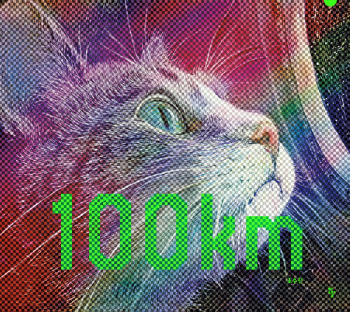 100km 표지