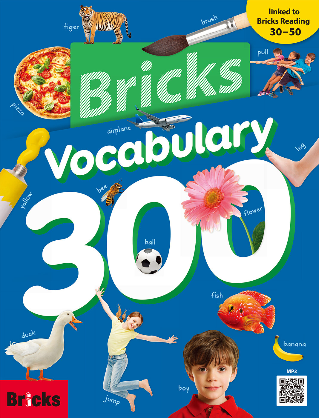 Bricks vocabulary 300 표지