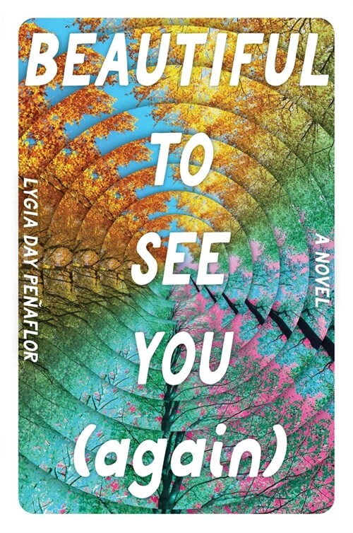 Beautiful to See You (Again) (Hardcover) 표지
