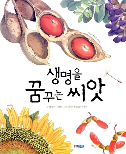 생명을 꿈꾸는 씨앗 표지