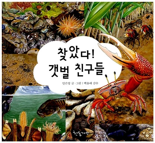 찾았다! 갯벌 친구들 표지