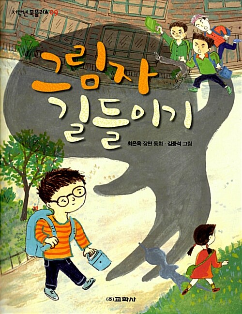 그림자 길들이기  표지