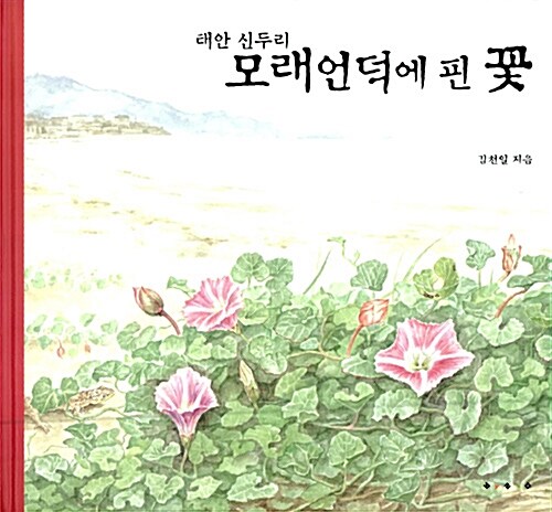 (태안 신두리) 모래언덕에 핀 꽃  표지