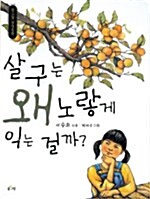 살구는 왜 노랗게 익는 걸까? 표지