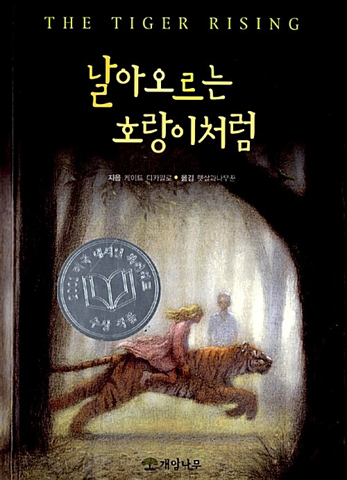 날아오르는 호랑이처럼 표지
