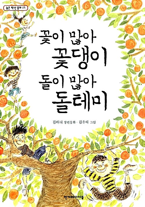 꽃이 많아  꽃댕이 돌이 많아 돌테미  표지