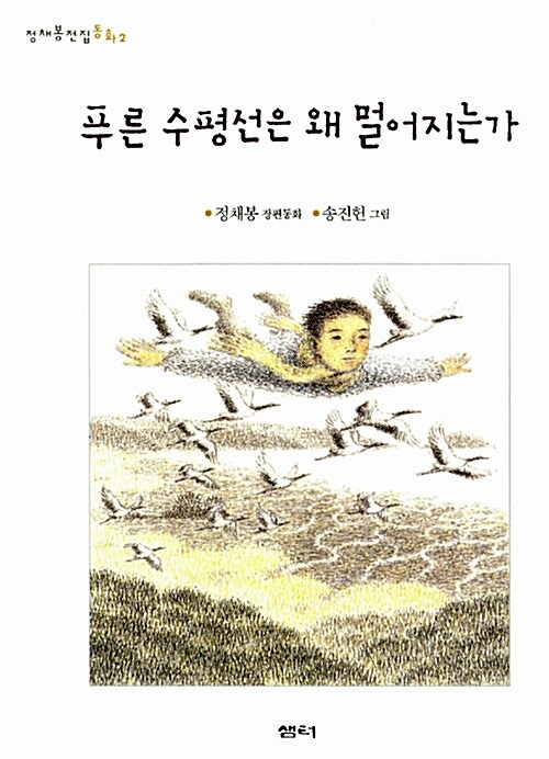 푸른 수평선은 왜 멀어지는가 표지